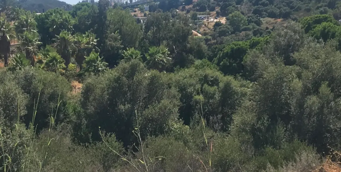Sale of residential plot in Estepona 5
