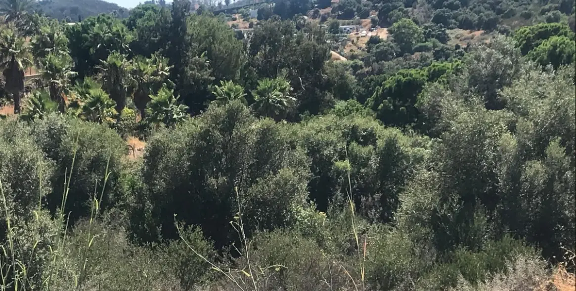 Sale of residential plot in Estepona 6