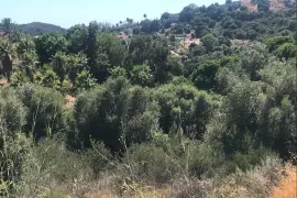 Image 6 thumb