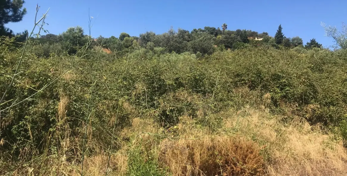 Sale of residential plot in Estepona 7