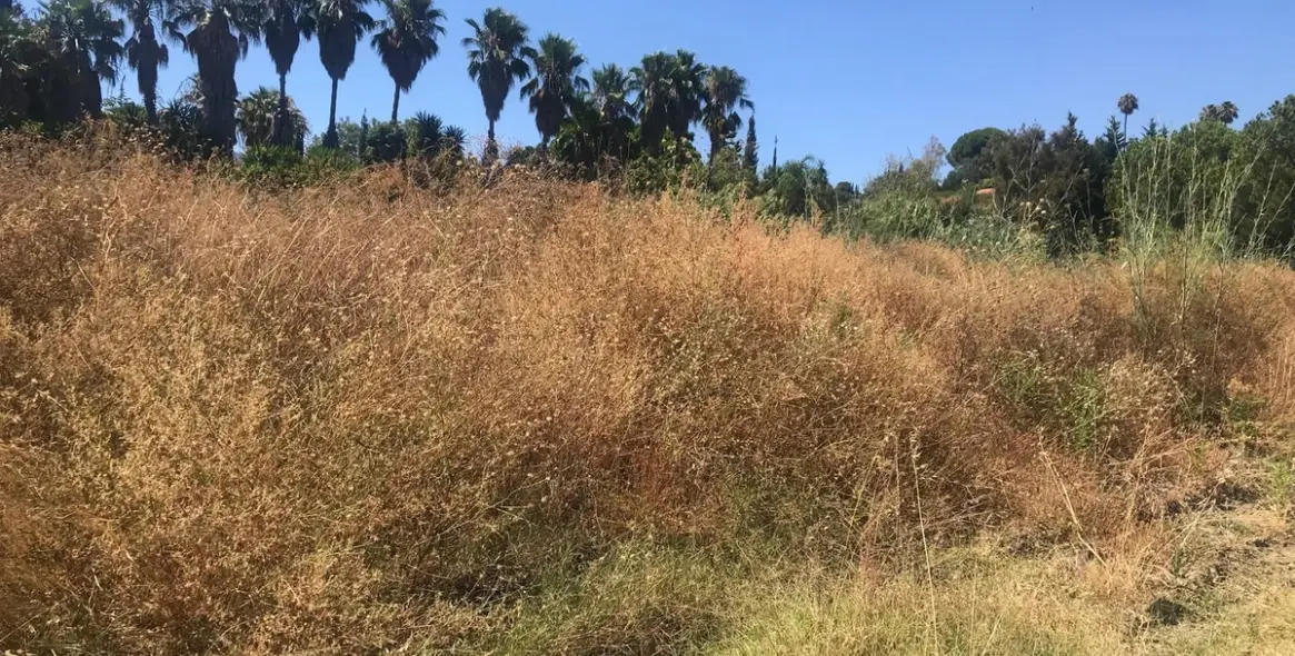 Sale of residential plot in Estepona 8
