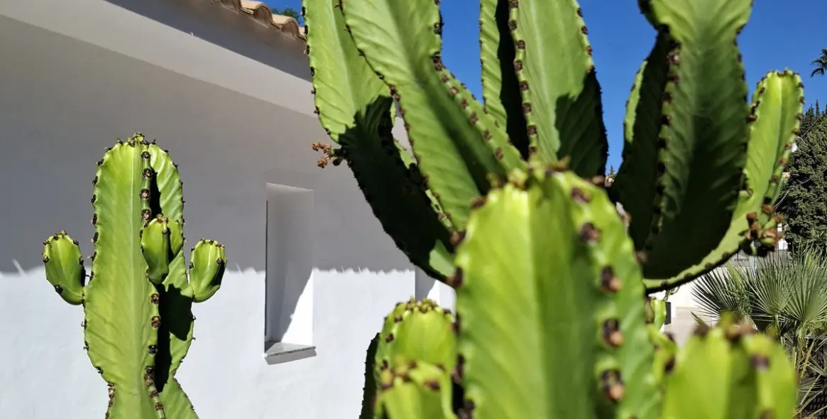 Venta de villa independiente en Mijas Costa 61