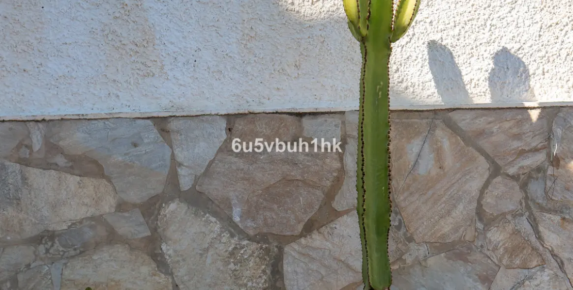 Продажа  отдельно стоящей виллы в Fuengirola 24