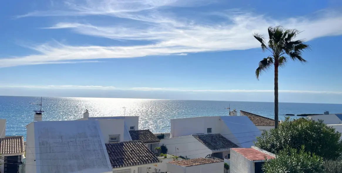 Продажа  отдельно стоящей виллы в Estepona 1