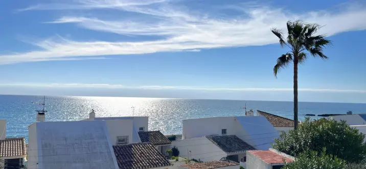 Продажа  отдельно стоящей виллы в Estepona 0