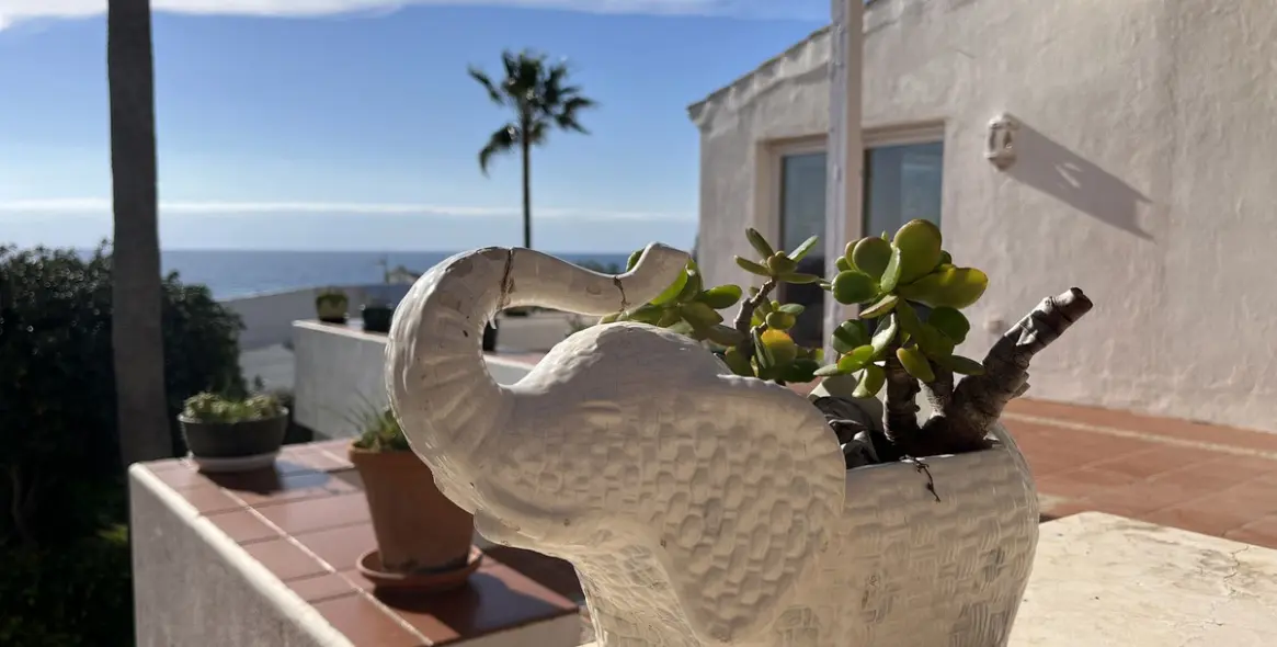 Продажа  отдельно стоящей виллы в Estepona 35