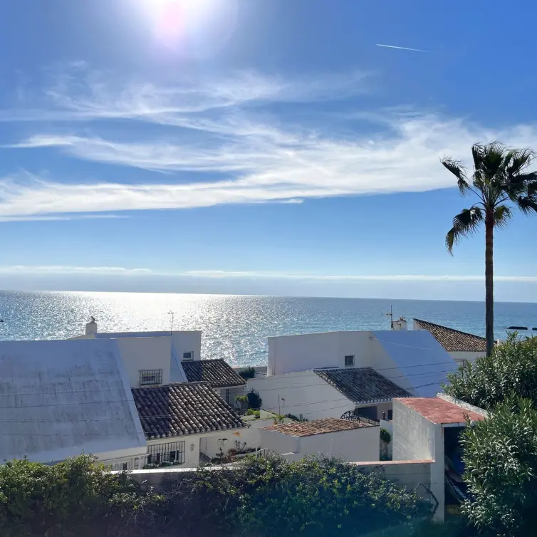 Sale of detached villa in Estepona
