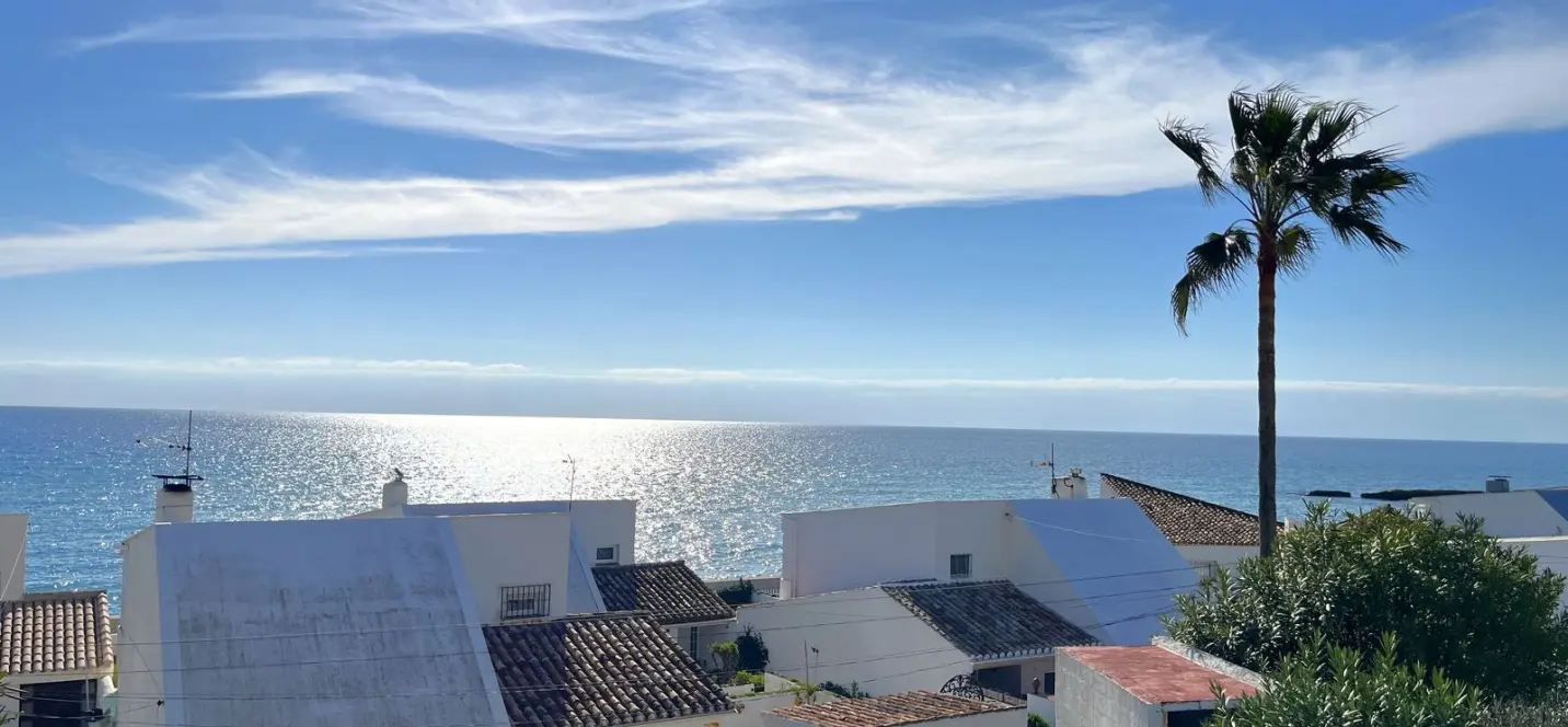 Sale of detached villa in Estepona 0