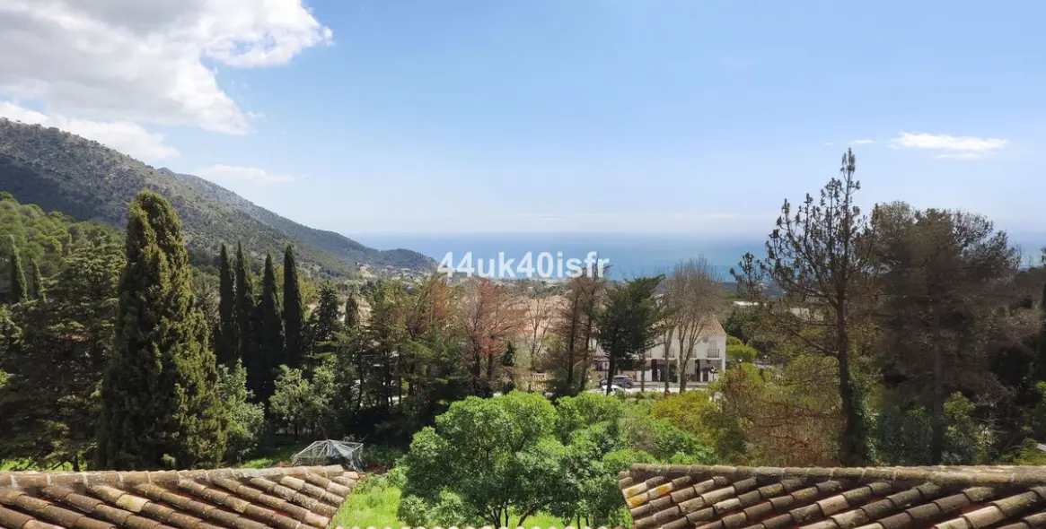 Продажа  отдельно стоящей виллы в Mijas 4
