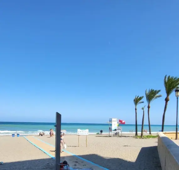 Продажа ресторана в San Luis de Sabinillas