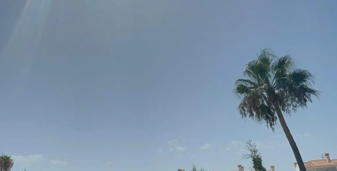 Sale of detached villa in Torremuelle 8