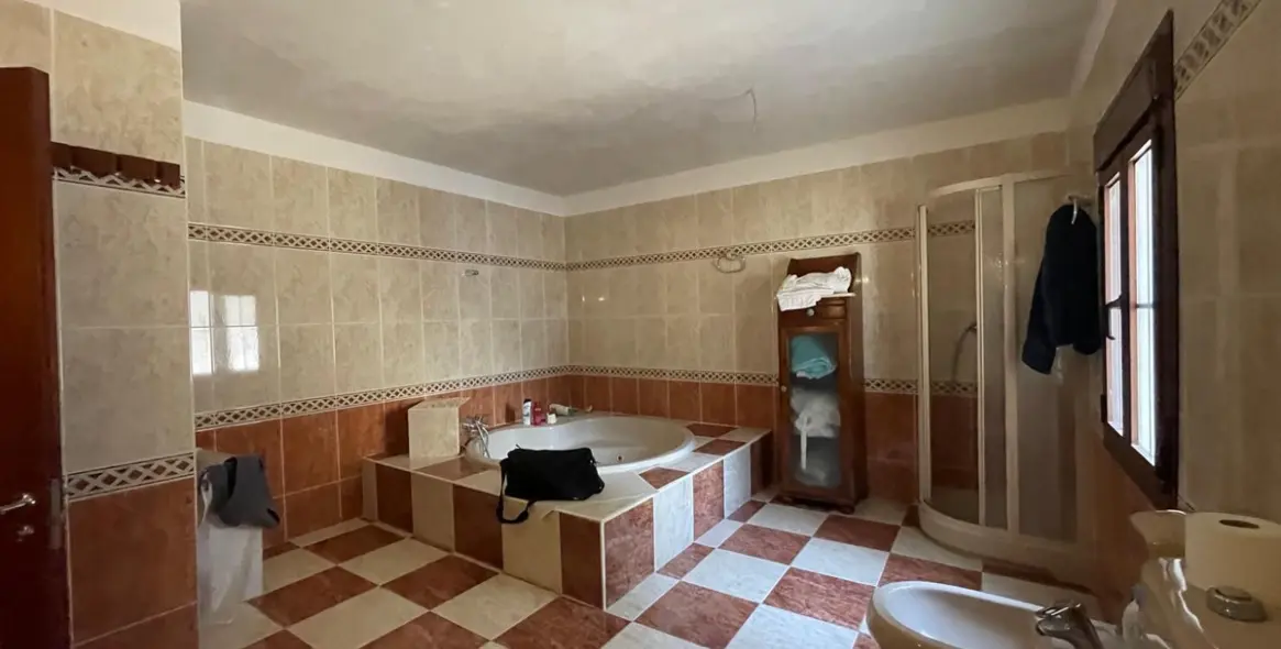 Sale of detached villa in Torremuelle 18