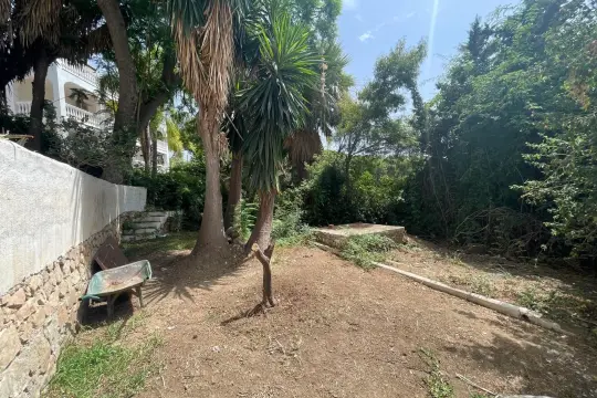 Image 4 thumb