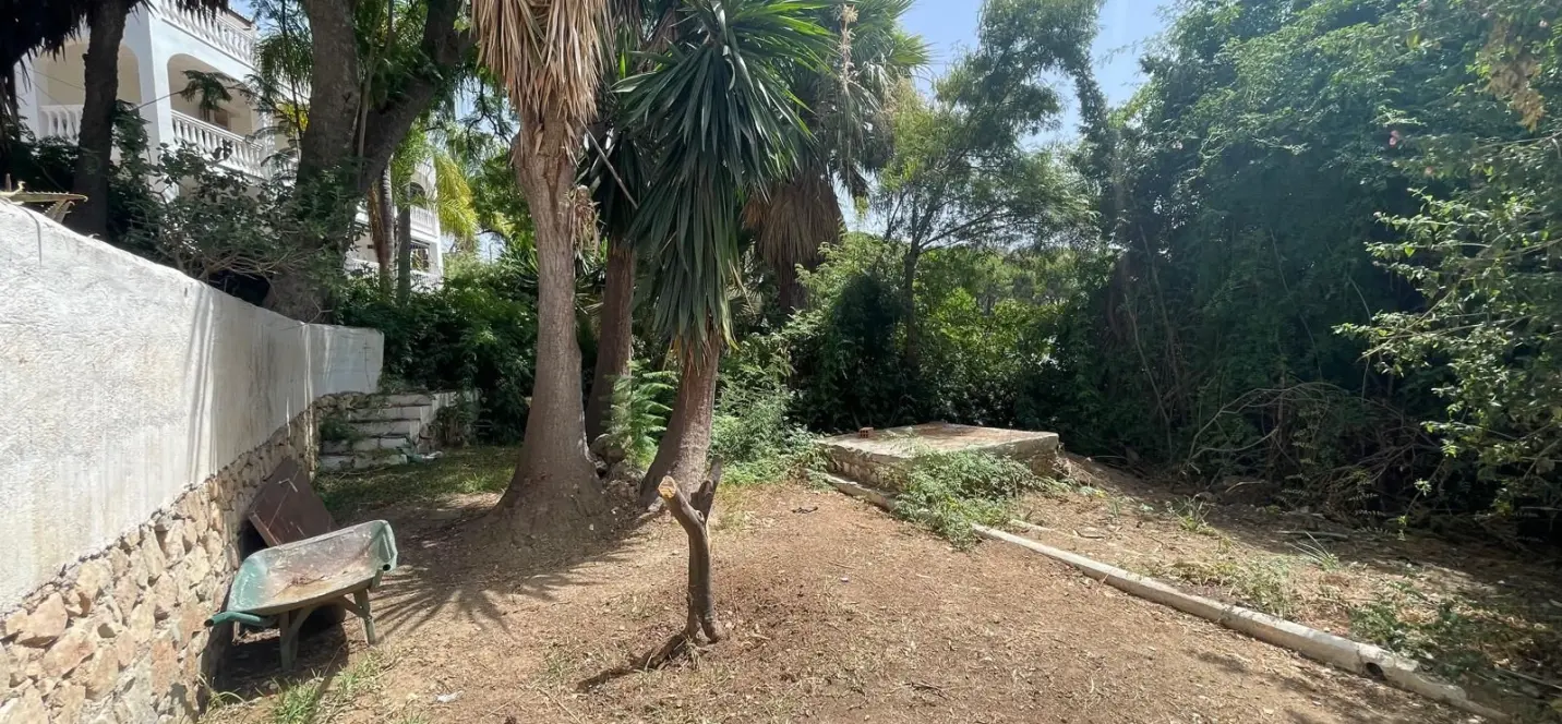 Sale of detached villa in Torremuelle 3