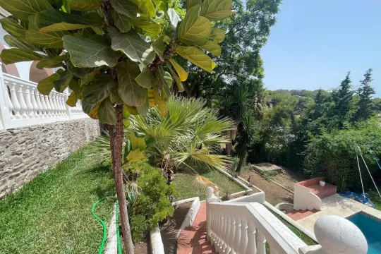 Image 6 thumb
