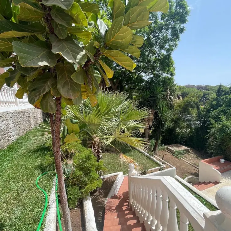 Sale of detached villa in Torremuelle