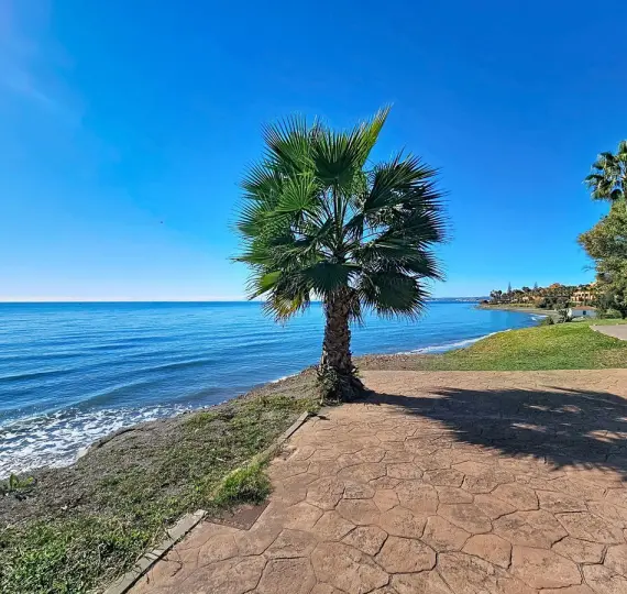 Ground floor apartment R5225458