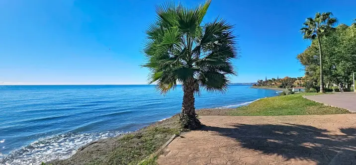 Ground floor apartment R5225458 0