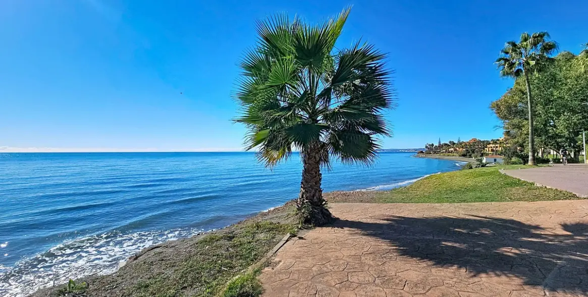 Продажа апартаментов на первом этаже в Estepona 25