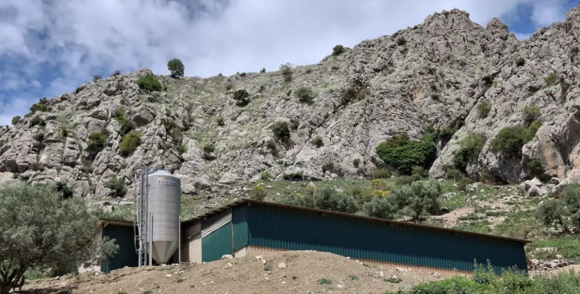 Sale of residential plot in Costa del Sol East 1