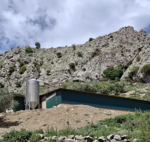 Residential plot R4877173