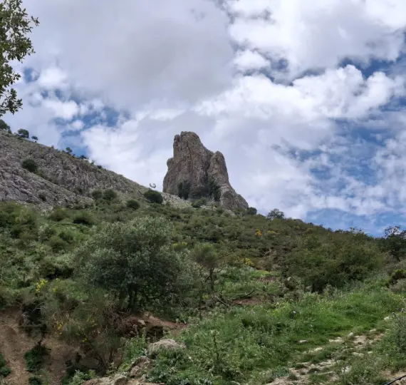 Residential plot R4877173