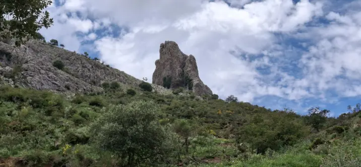 Residential plot R4877173 1