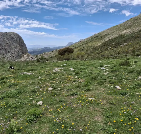 Residential plot R4877173