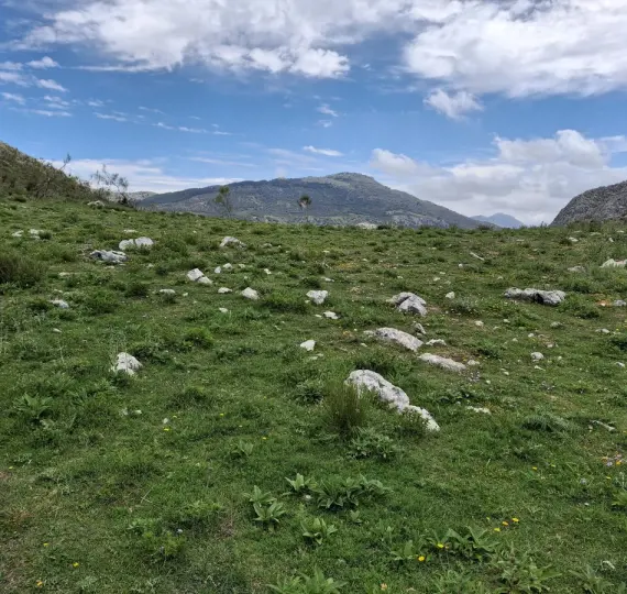 Residential plot R4877173