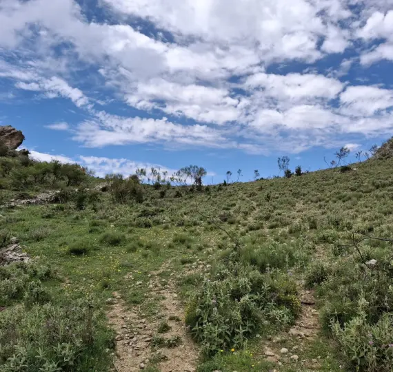 Residential plot R4877173