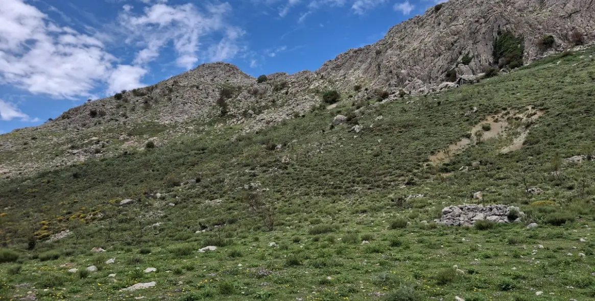 Sale of residential plot in Costa del Sol East 7