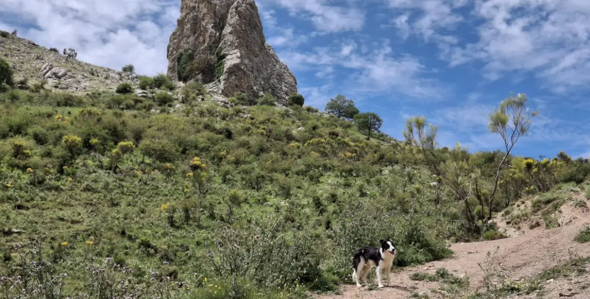 Sale of residential plot in Costa del Sol East 8