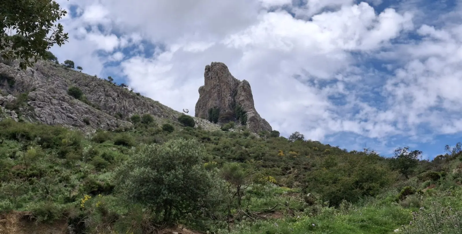Venta de parcela residencial en Alfarnatejo 2