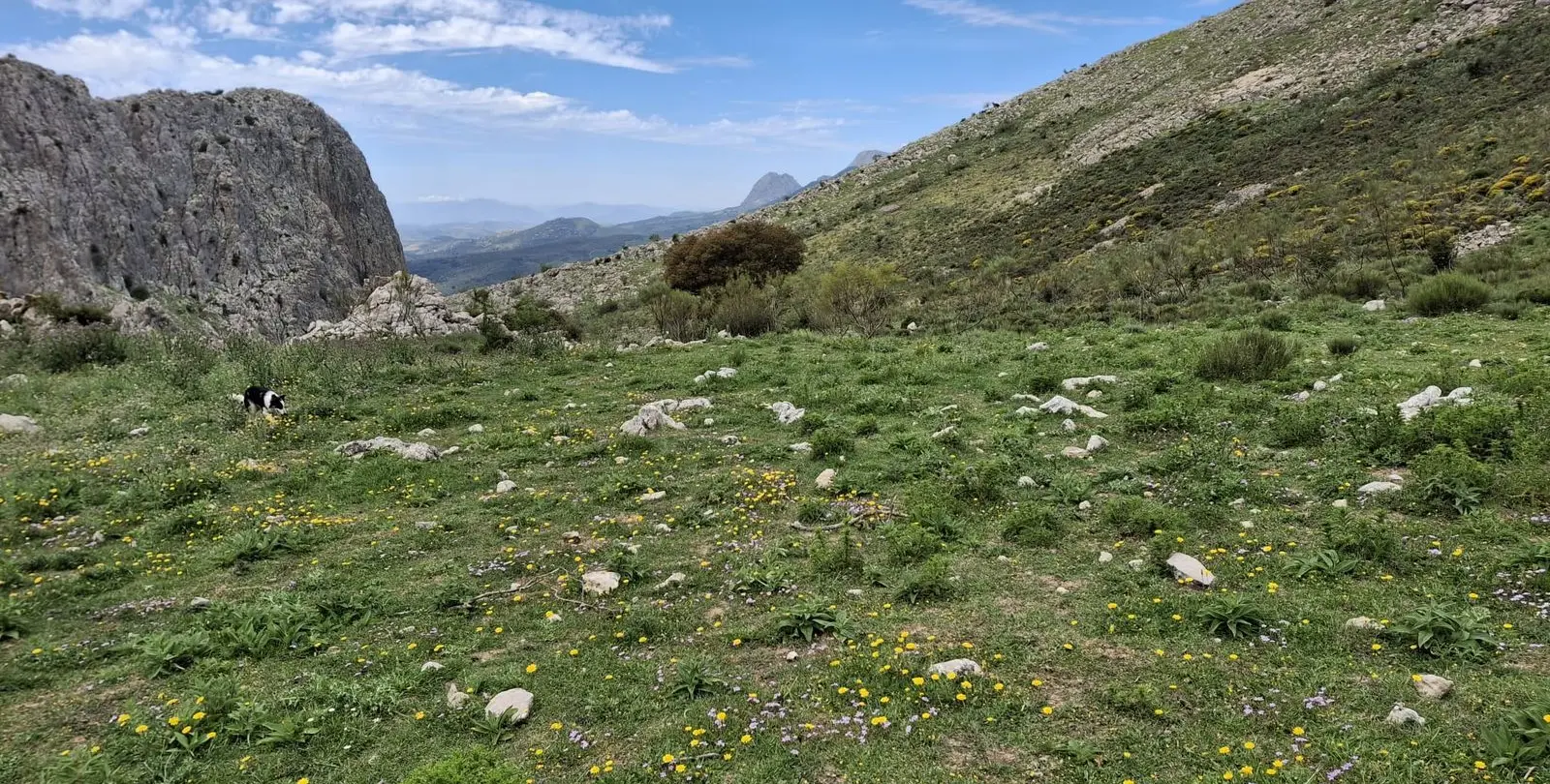 Venta de parcela residencial en Alfarnatejo 4