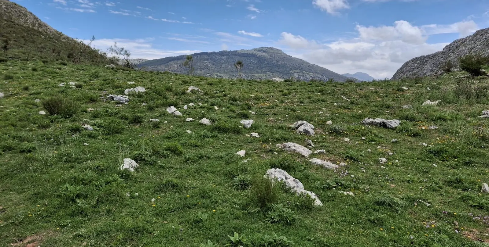 Venta de parcela residencial en Alfarnatejo 5