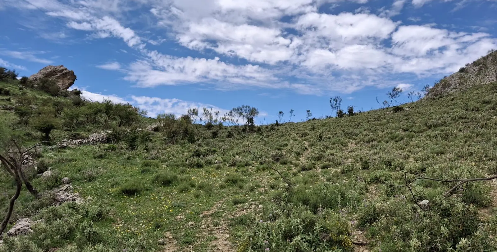 Venta de parcela residencial en Alfarnatejo 6