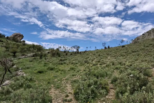 Image 6 thumb
