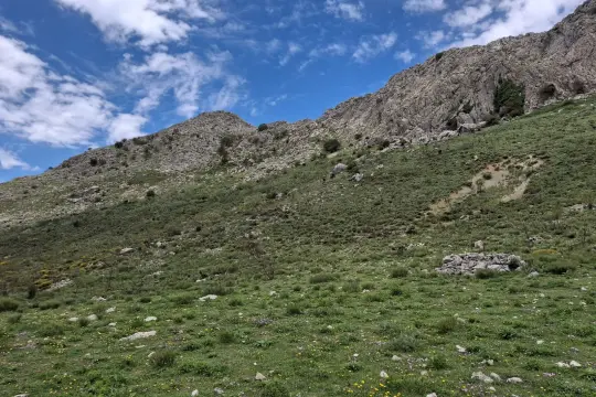 Image 7 thumb