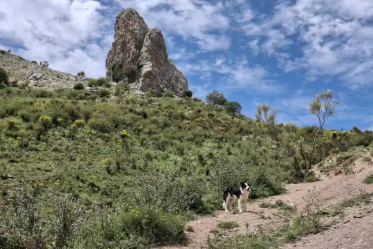 Image 8 thumb