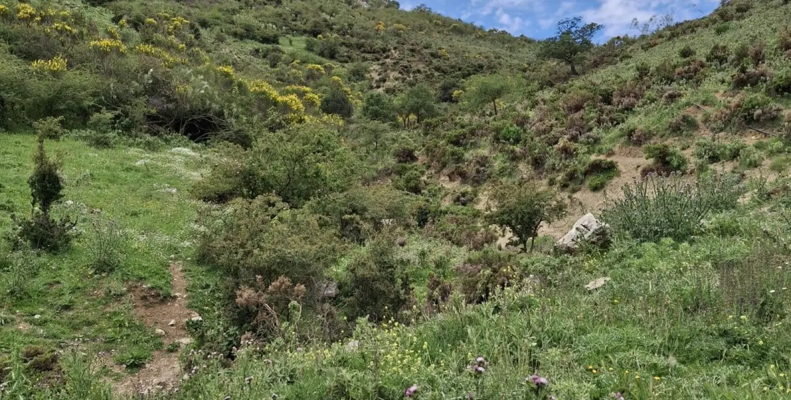 Venta de parcela residencial en Alfarnatejo 10