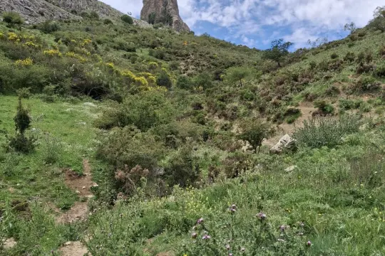 Image 10 thumb