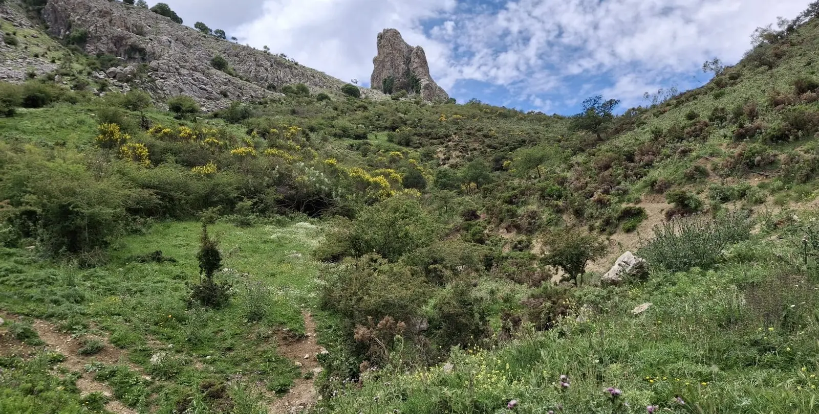 Venta de parcela residencial en Alfarnatejo 11
