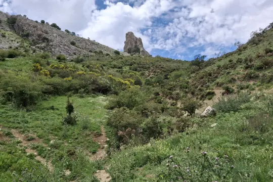 Image 11 thumb