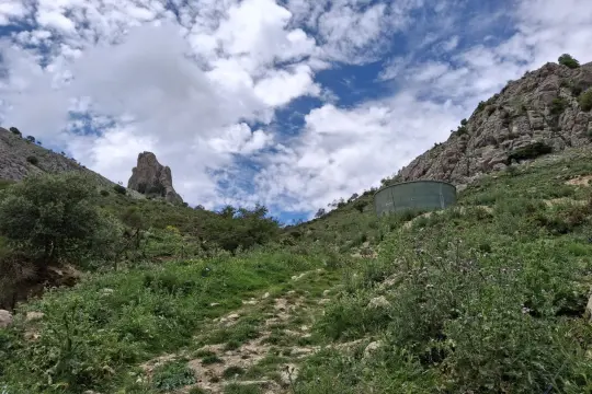 Image 12 thumb