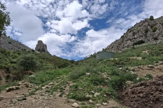 Image 13 thumb