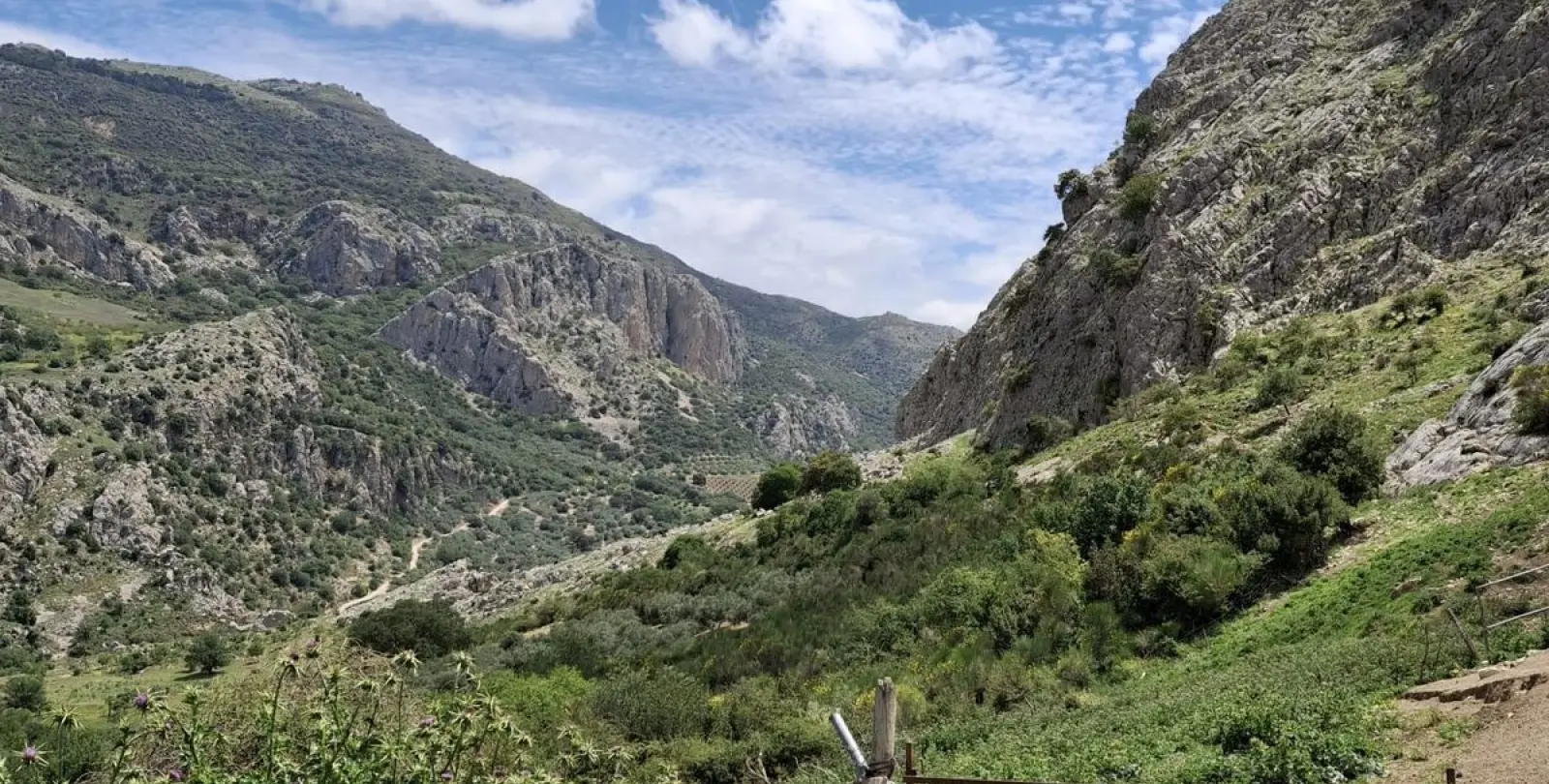 Venta de parcela residencial en Alfarnatejo 14