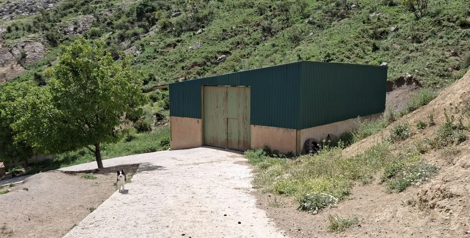 Venta de parcela residencial en Alfarnatejo 18