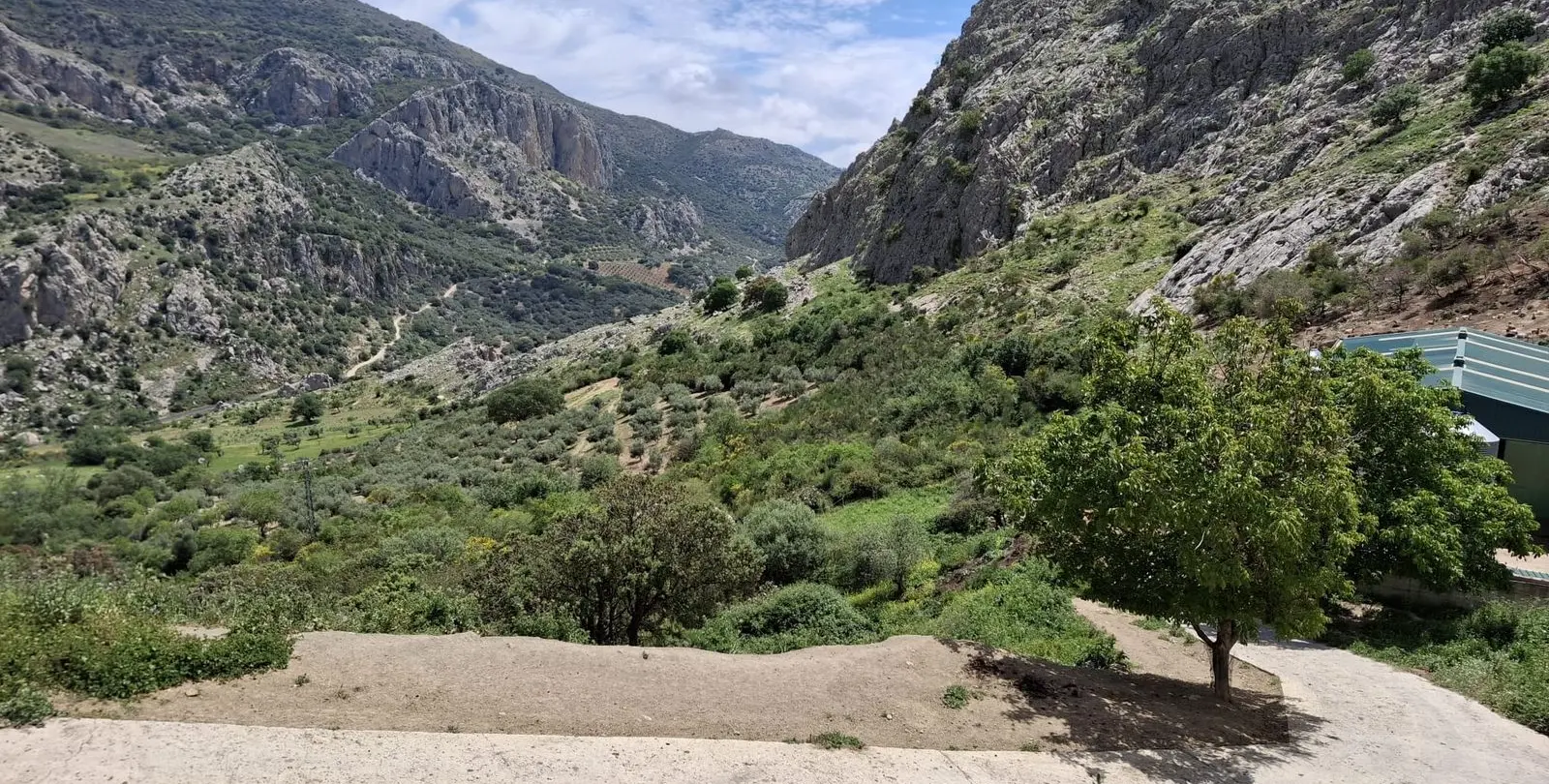 Venta de parcela residencial en Alfarnatejo 20