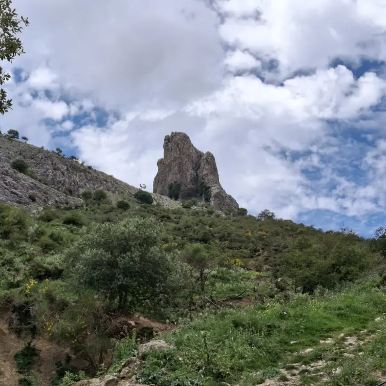 Venta de parcela residencial en Alfarnatejo