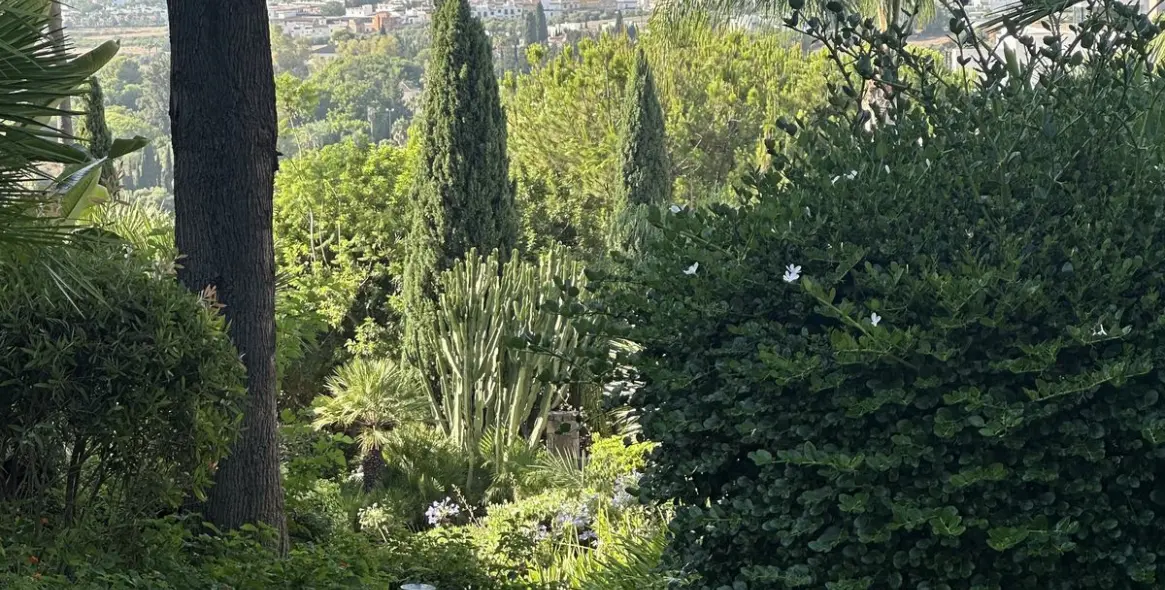 Sale of penthouse in Los Flamingos 29